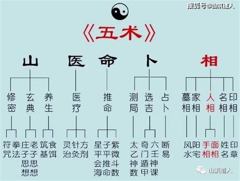 五術命格|《易经》中的五术